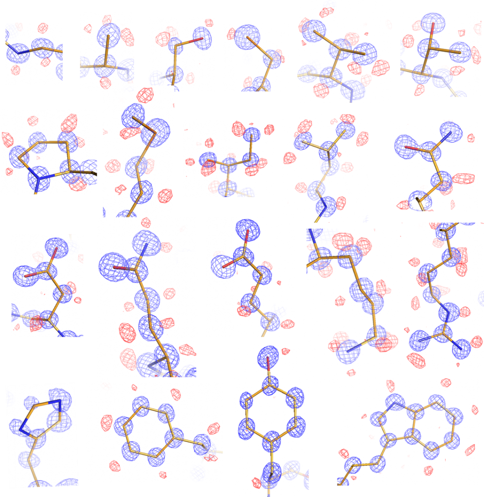 AA side chains