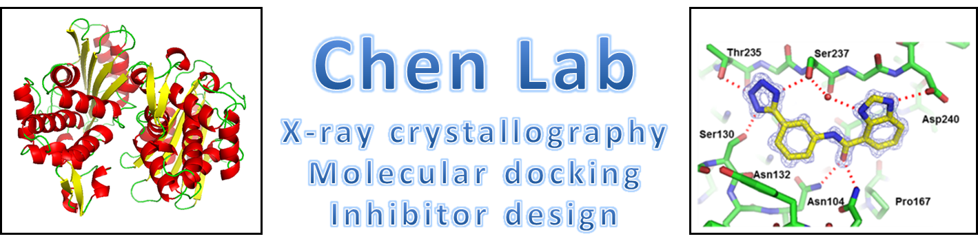 The Chen Lab